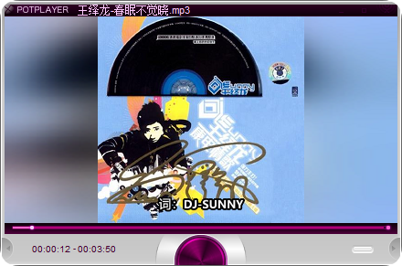 PotPlayer精简绿化版-影音视界