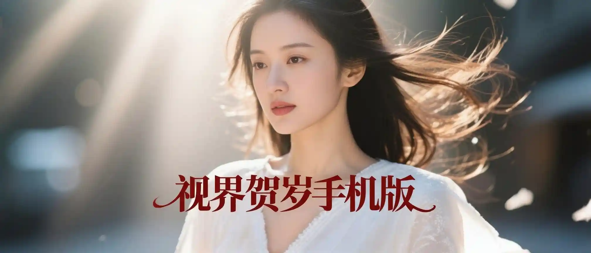 视界手机贺岁版·4K秒播-影音视界