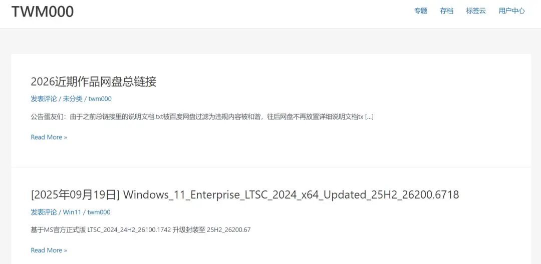 图片[9]-2026 全网最全！国内外 Windows 系统下载站合集，原版 / 纯净版 / 精简版全都有，附下载-影音视界